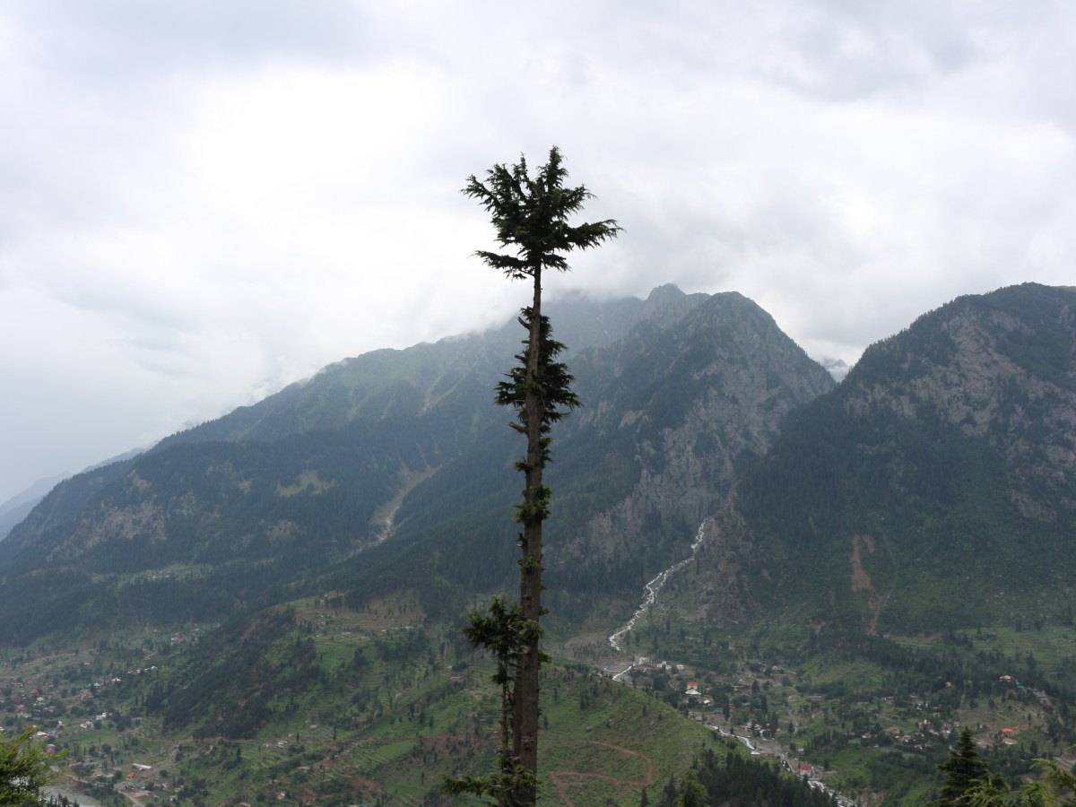 The Odd One Out. – A Sense of Self-Doubt in an Era of&nbsp;Diversity